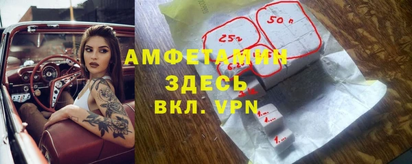 амф Новодвинск