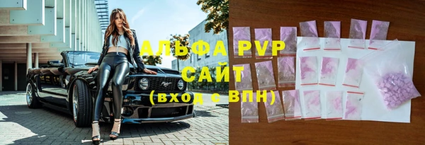 амф Новодвинск
