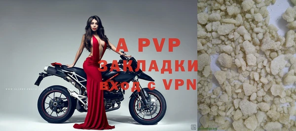 амф Новодвинск
