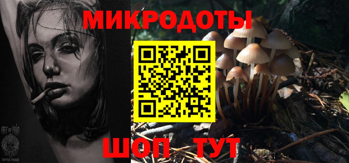 Михайловск  Псилоцибиновые грибы Psilocybe  Вход с VPN 